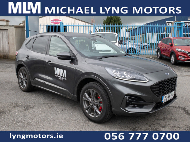 vehicle for sale from Michael Lyng Motors