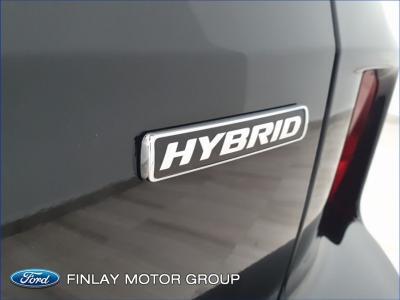 2023 Ford Kuga