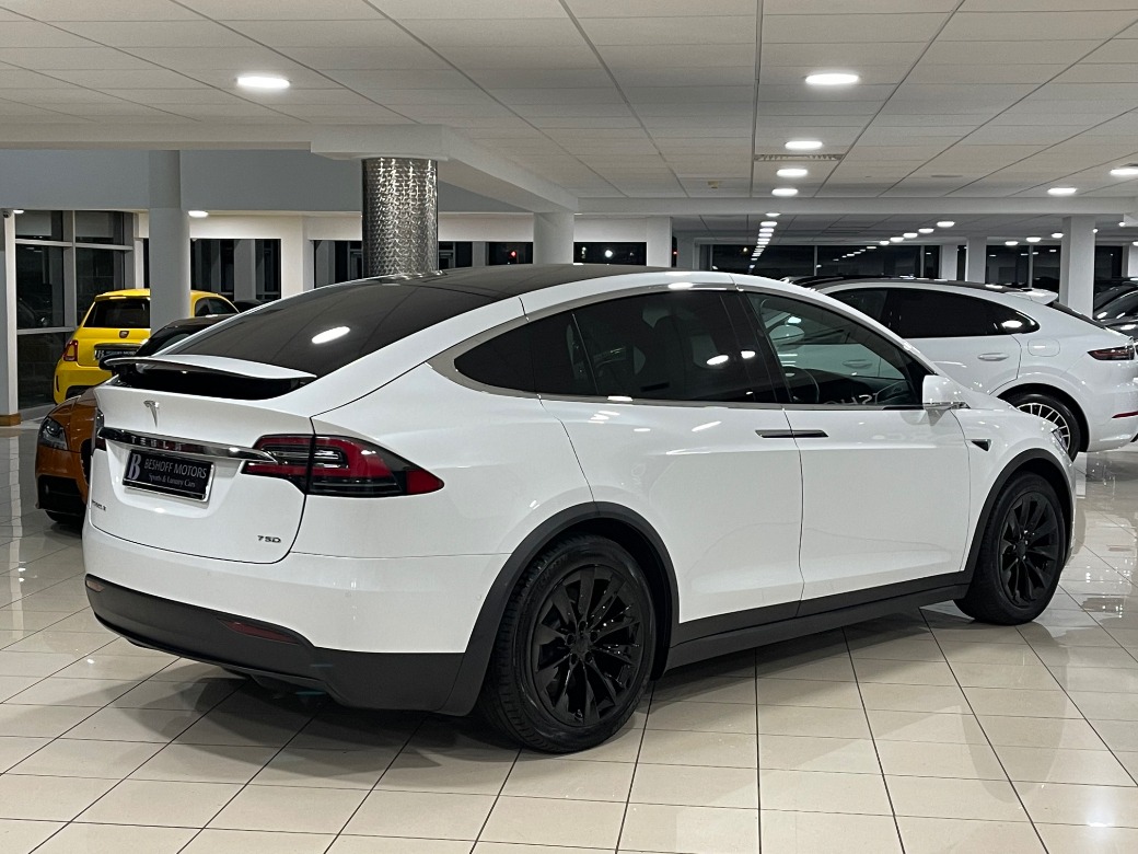 2019 Tesla Model X