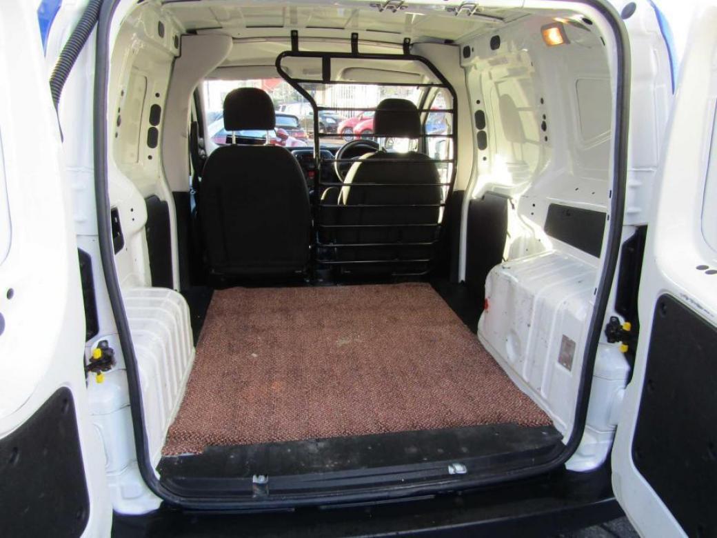 Fiorino