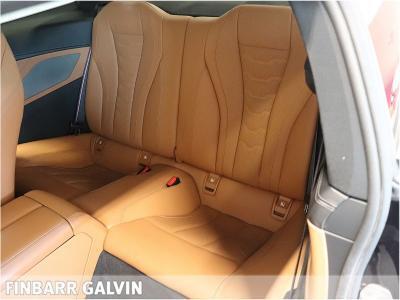 2019 BMW 8 Series
