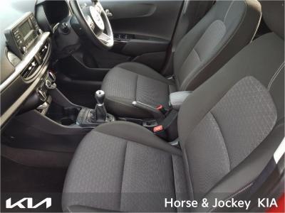 2019 Kia Picanto