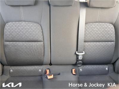 2019 Kia Picanto