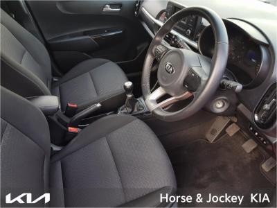 2019 Kia Picanto