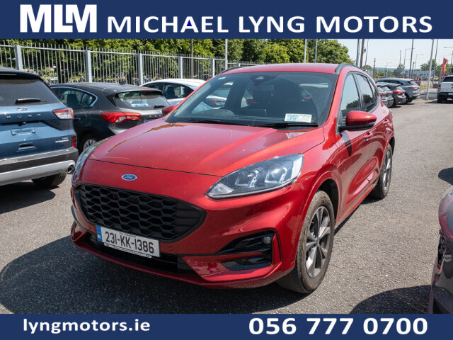 vehicle for sale from Michael Lyng Motors